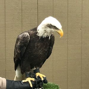 Meet your Posher, Shane